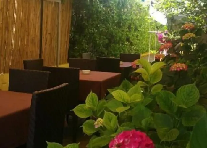 Hotel Illi 3*